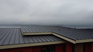 Fast & Reliable Emergency Roof Repairs in Saticoy, CA